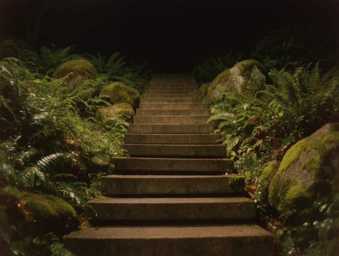 Dark garden stairs surrounded by moss and ferns